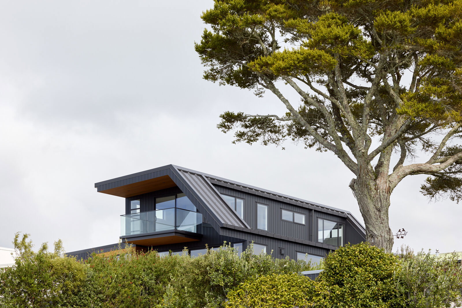 The Algies Bay home's black-clad upper storey and cantilevered balcony, seen beneath a pōhutukawa tree