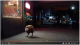 Latitude tv ad still