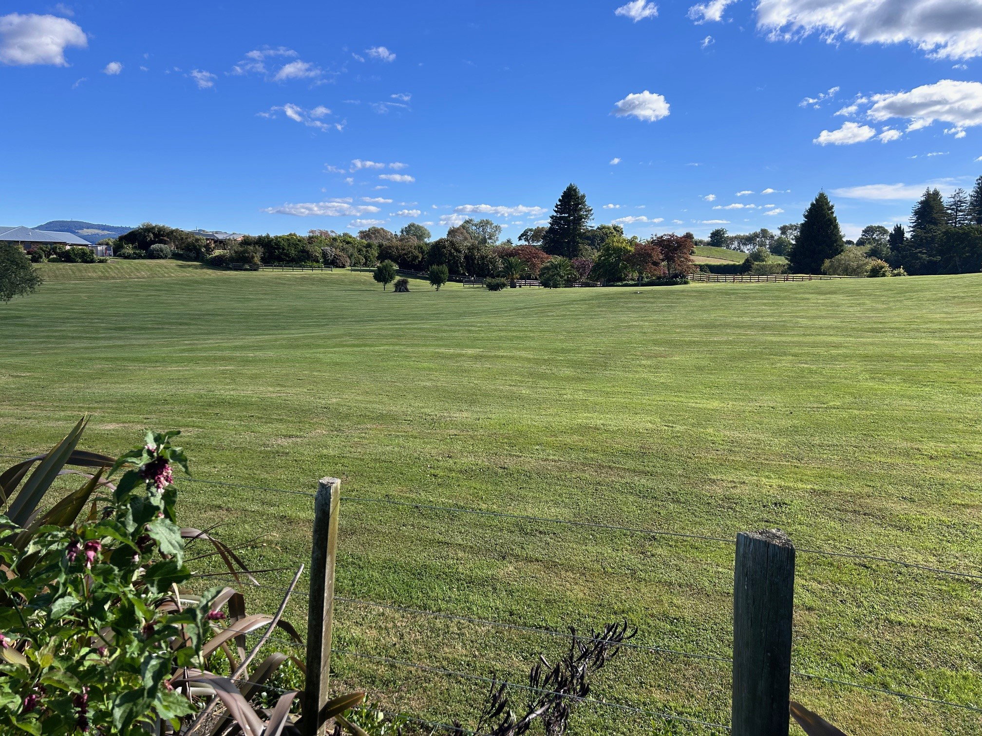 course view