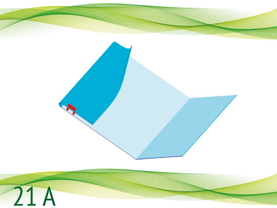 21 A