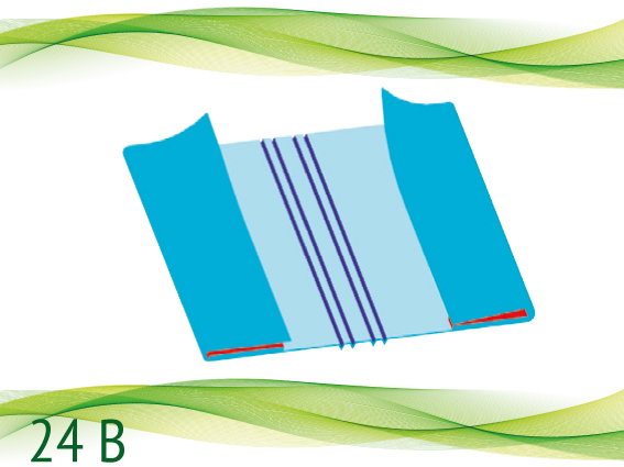 24 B