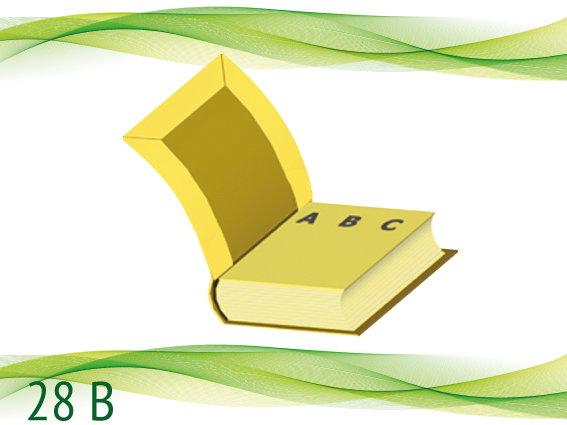 28 B