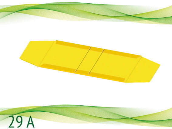 29 A