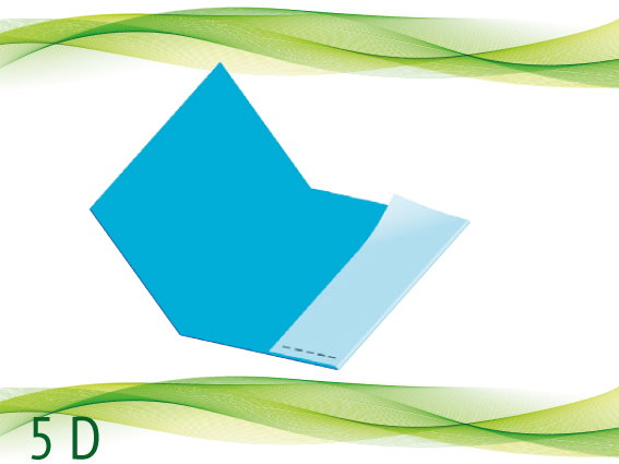 5 D