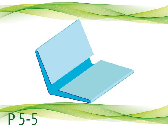 P 5-5