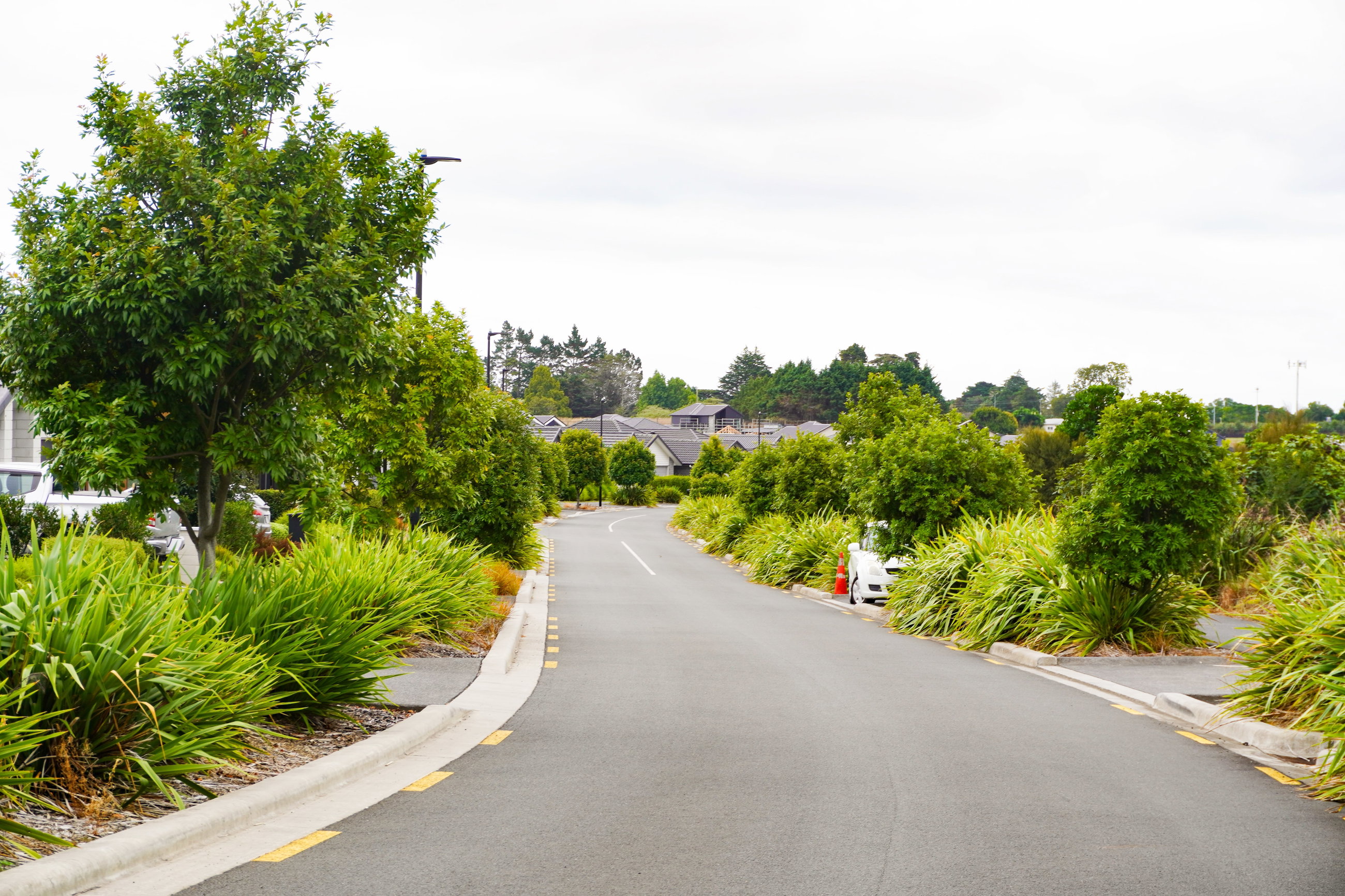 Mariner Rise Header