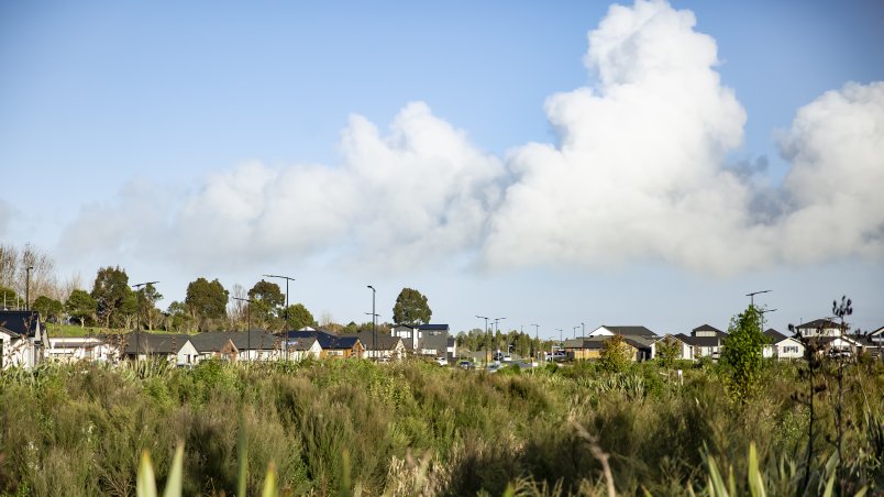 Image showing the Milldale development with a lot of green scrub and sky views